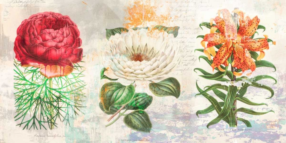 Art Print: Hortus Botanicus 2.0