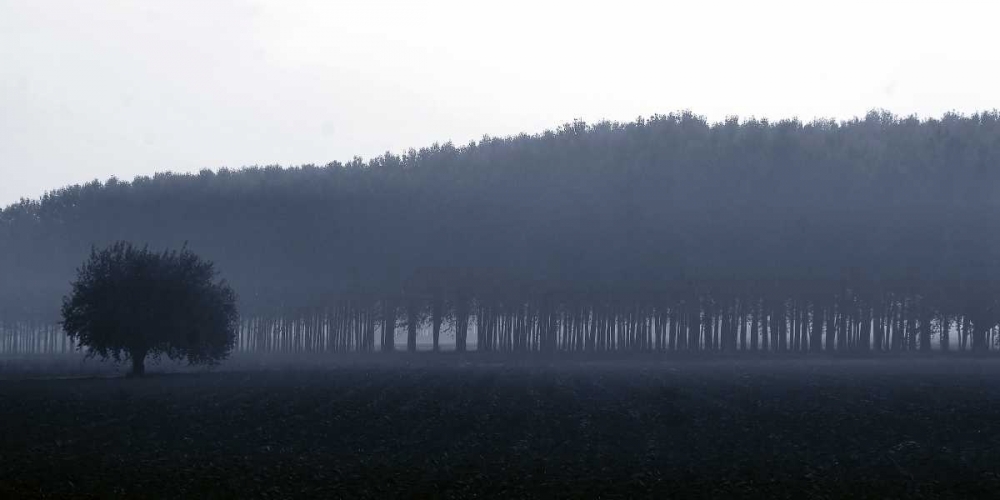 Art Print: Sinfonia d autunno