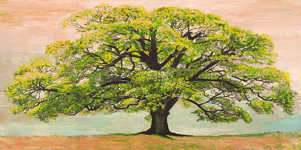 Art Print: Green Oak