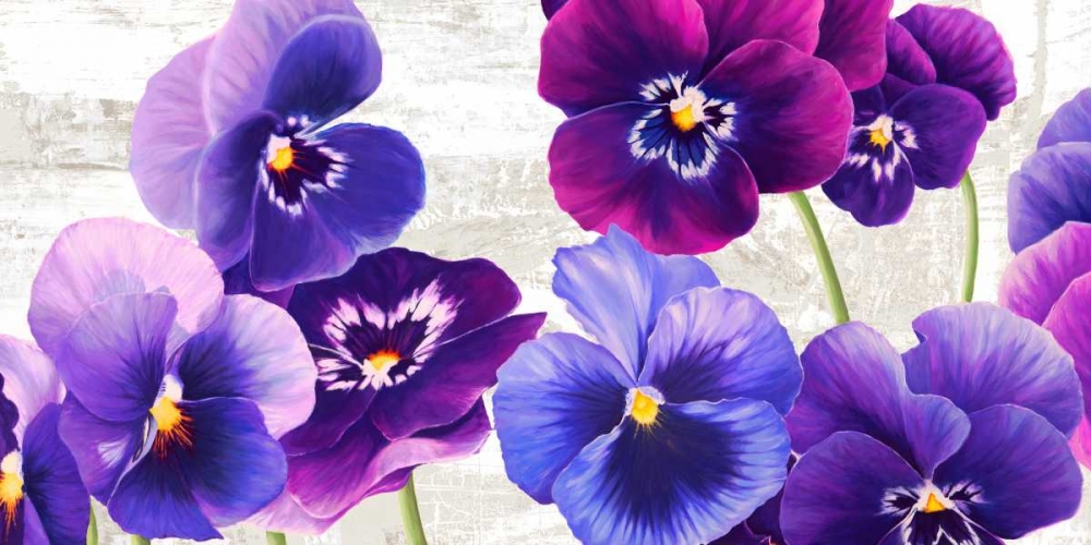 Wall Art Painting id:47895, Name: Dance of Pansies, Artist: Thomlinson, Jenny