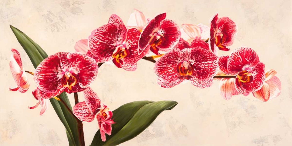 Wall Art Painting id:43286, Name: Purple Queens, Artist: Villa, Luca