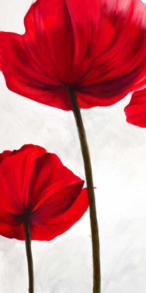 Wall Art Painting id:42871, Name: Reds I, Artist: Villa, Luca