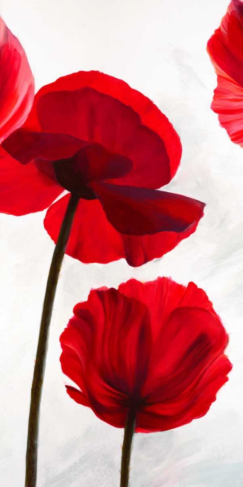 Wall Art Painting id:42872, Name: Reds II, Artist: Villa, Luca