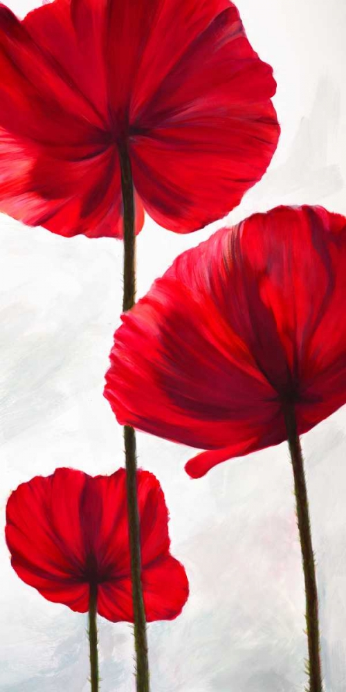 Wall Art Painting id:42873, Name: Reds III, Artist: Villa, Luca