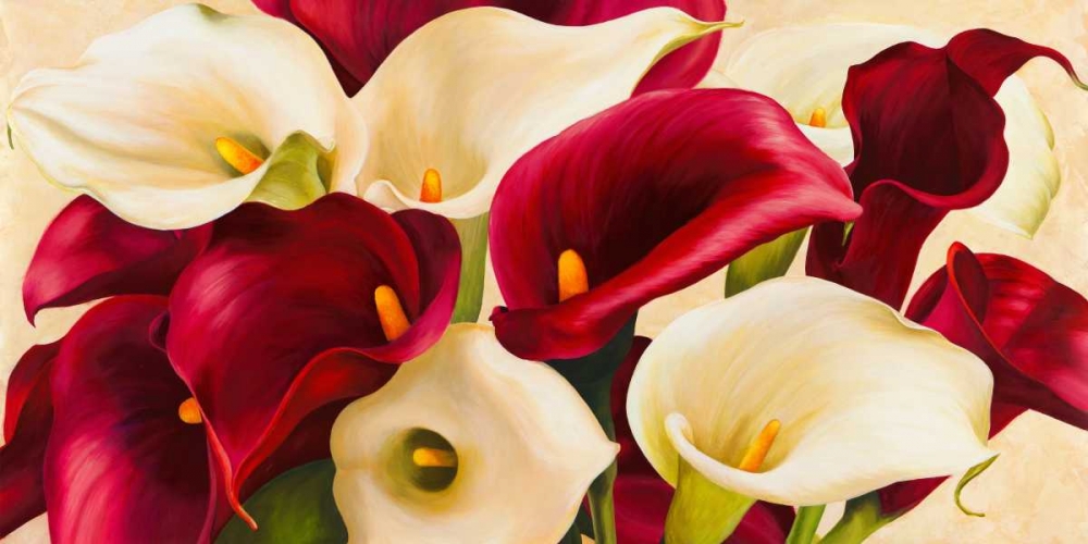 Wall Art Painting id:42843, Name: Calla composition, Artist: Biffi, Serena