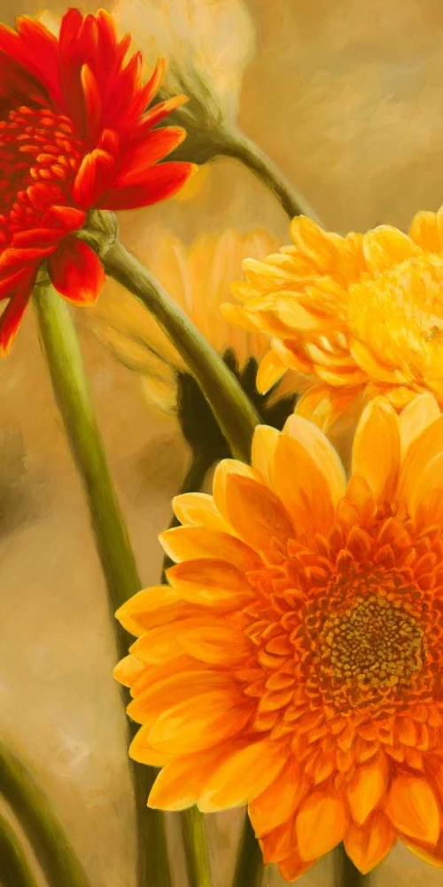 Wall Art Painting id:43318, Name: Gerbere nel sole I, Artist: Biffi, Serena