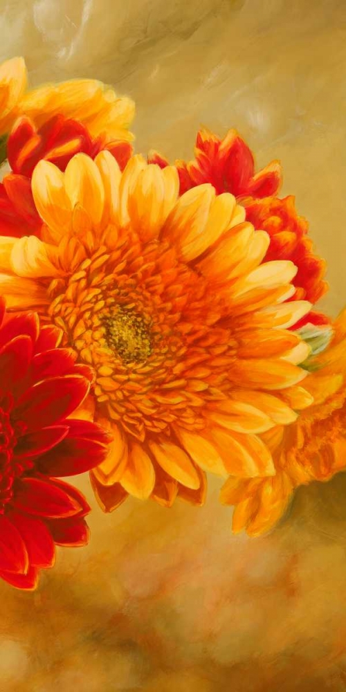 Wall Art Painting id:43320, Name: Gerbere nel sole III, Artist: Biffi, Serena