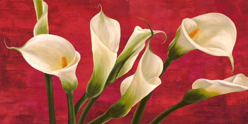 Wall Art Painting id:43321, Name: Calle in rosso, Artist: Biffi, Serena