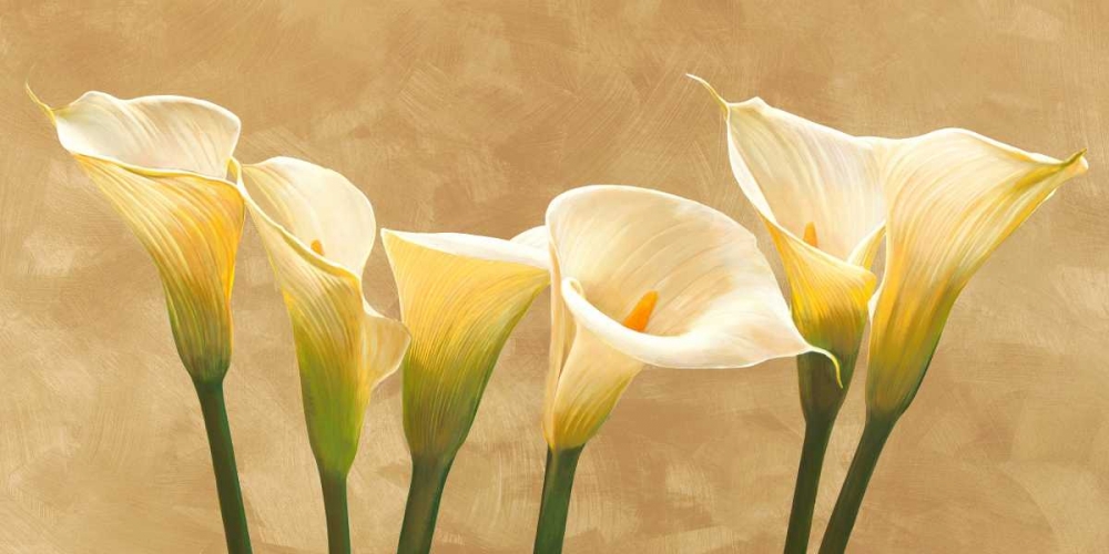 Wall Art Painting id:42848, Name: Calle bianche, Artist: Biffi, Serena