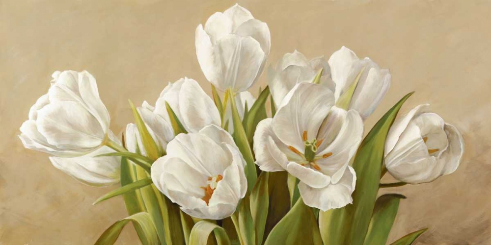 Wall art: Tulipani bianchi, by Biffi, Serena