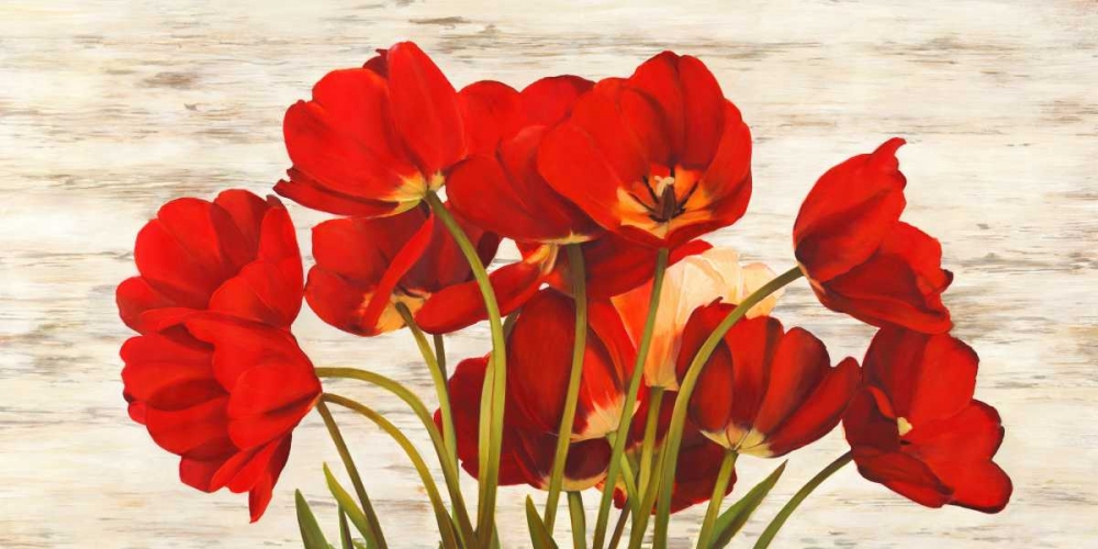 Wall art: French Tulips, by Biffi, Serena