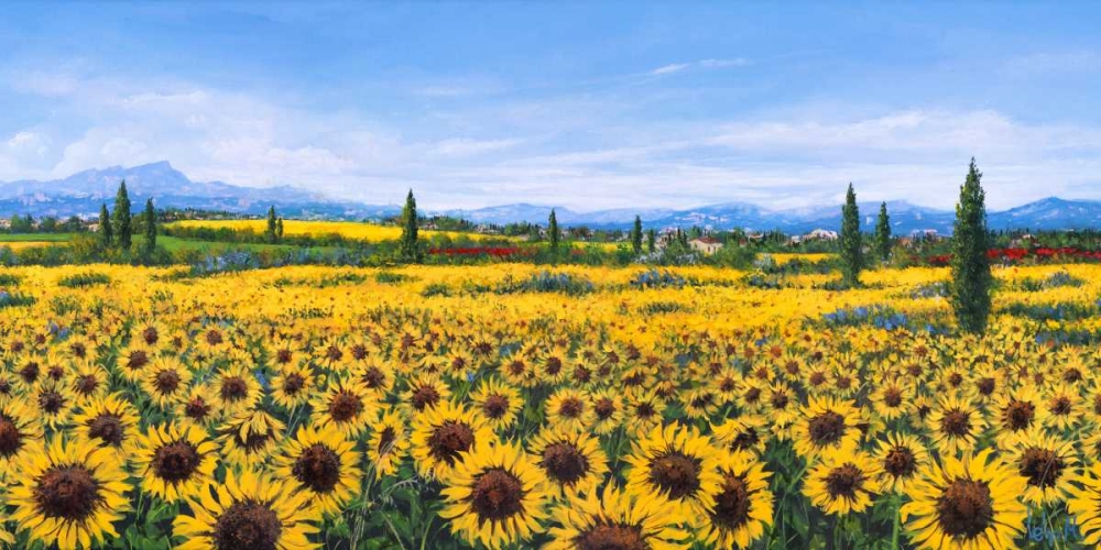 Art Print: Girasoli