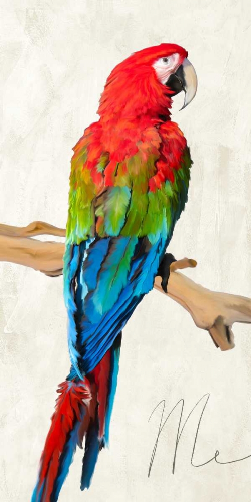 Wall Art Painting id:43340, Name: Me, Artist: Rizzardi, Teo