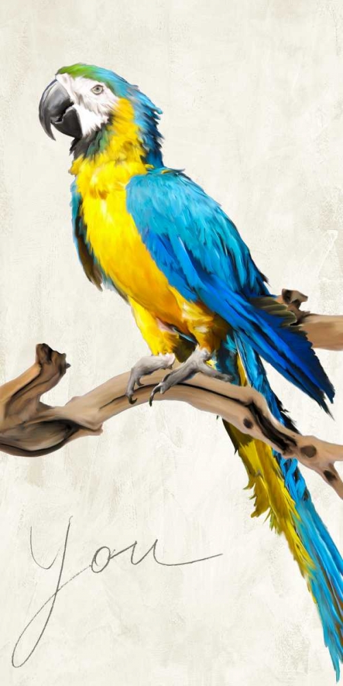 Wall Art Painting id:43341, Name: You, Artist: Rizzardi, Teo