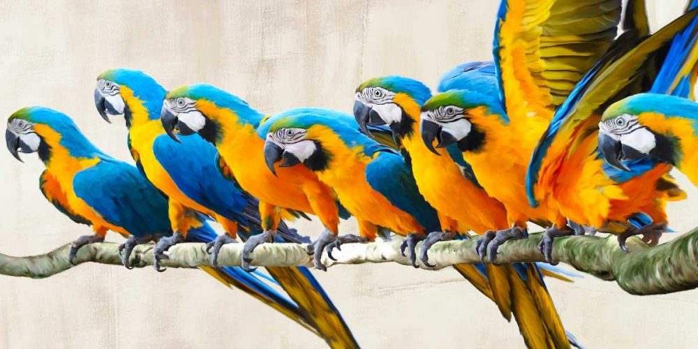 Wall Art Painting id:43344, Name: Ara Parade, Artist: Rizzardi, Teo