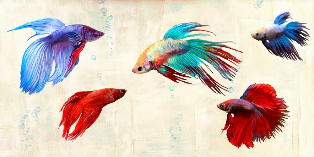 Wall Art Painting id:43347, Name: Tropical Parade, Artist: Rizzardi, Teo