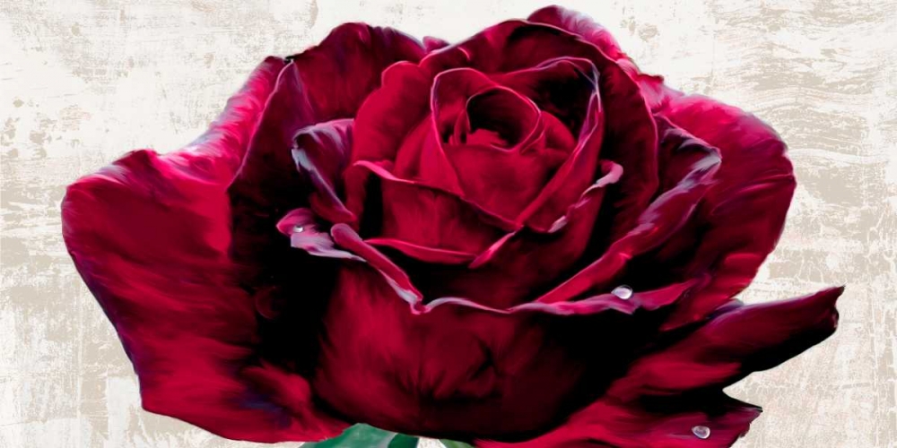 Wall Art Painting id:47898, Name: Purple Dame, Artist: Rizzardi, Teo