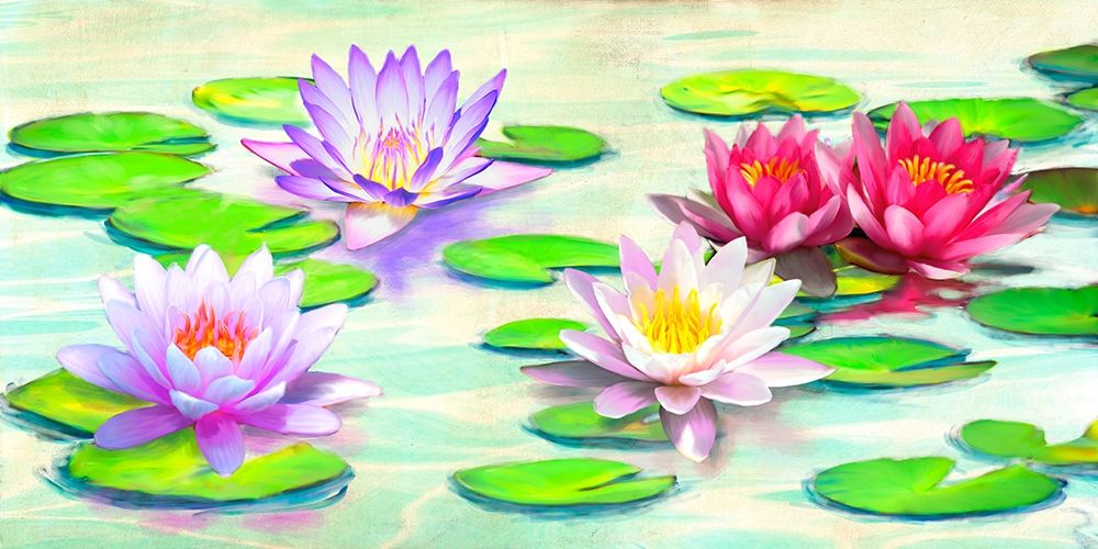 Wall art: Nympheas, by Rizzardi, Teo