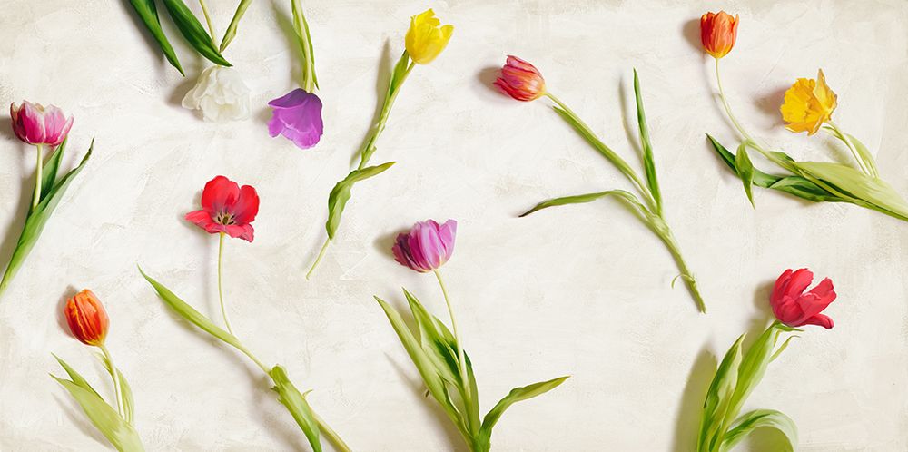 Wall Art Painting id:536957, Name: Cut Tulips, Artist: Rizzardi, Teo