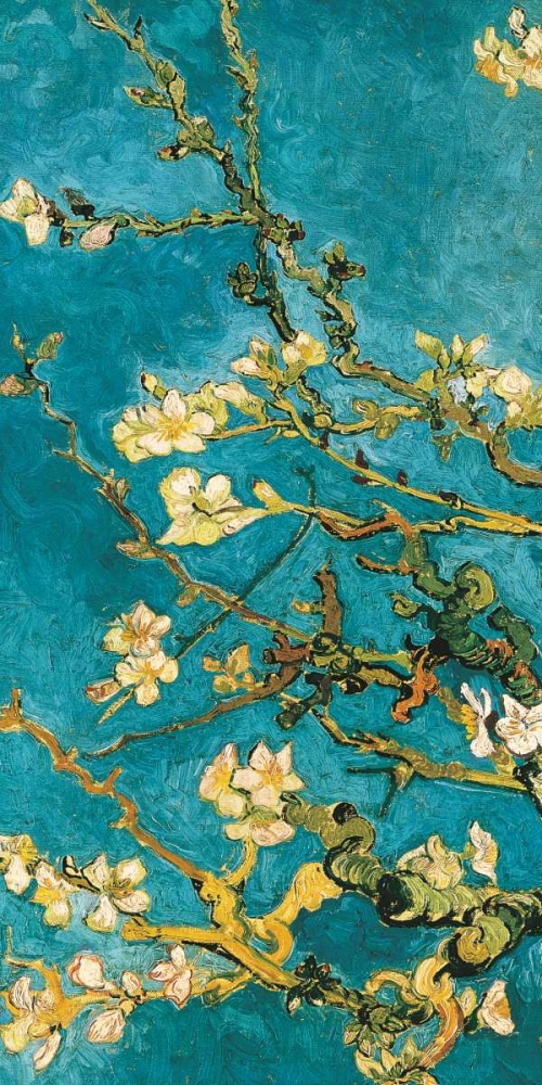 Art Print: Mandorlo in fiore I