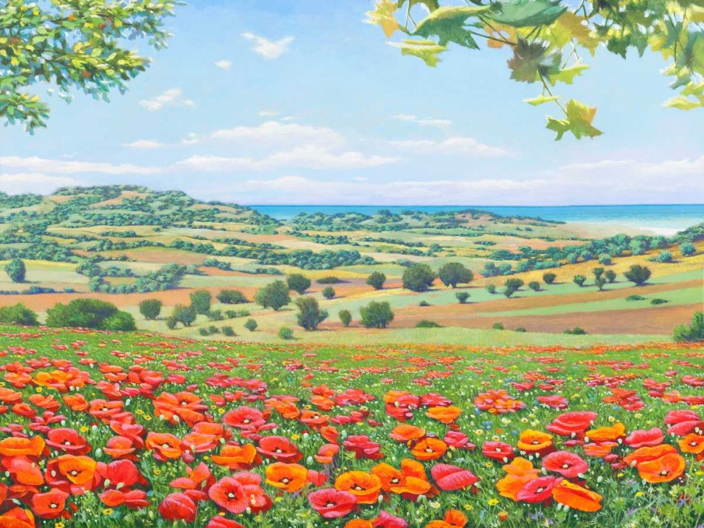 Wall art: Campo di papaveri, by Del Missier, Andrea