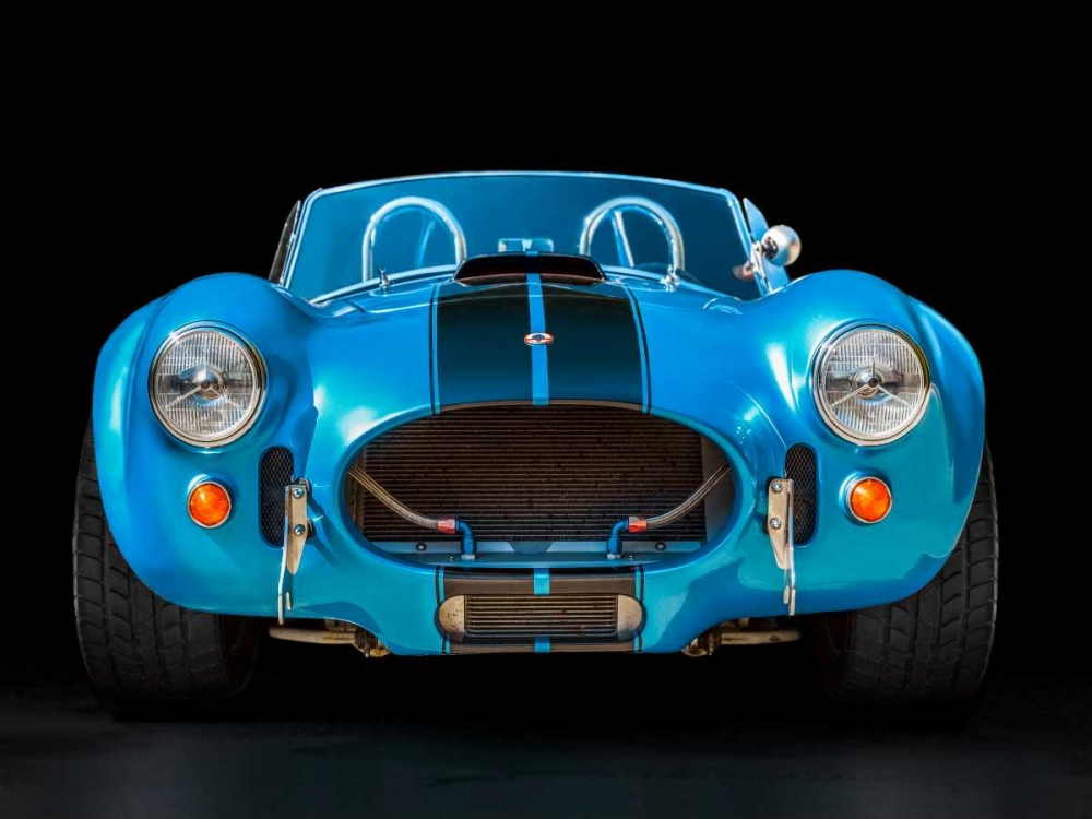 Wall Art Painting id:118051, Name: Shelby Cobra, Artist: Gasoline Images