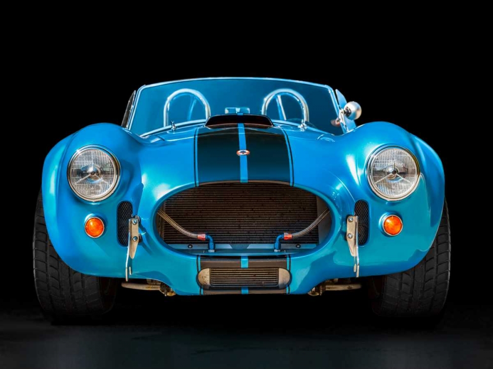 Art Print: Shelby Cobra