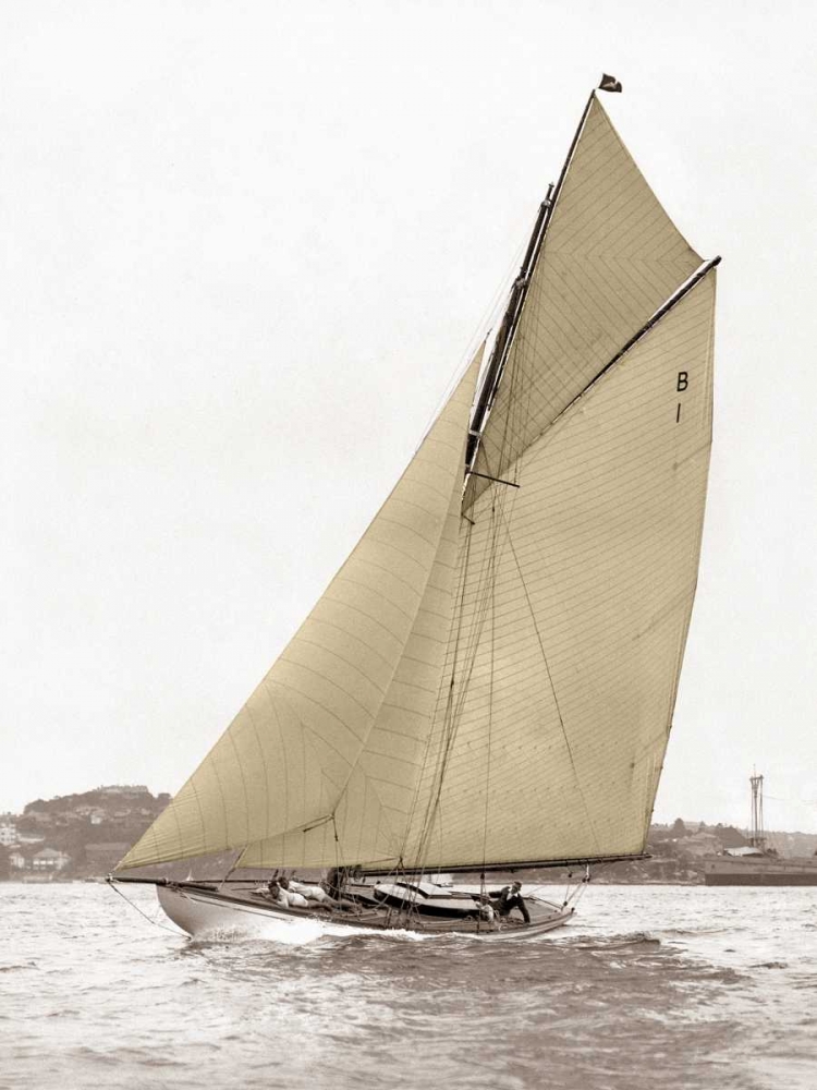 Wall Art Painting id:118057, Name: Victorian sloop on Sydney Harbour, Artist: Anonymous