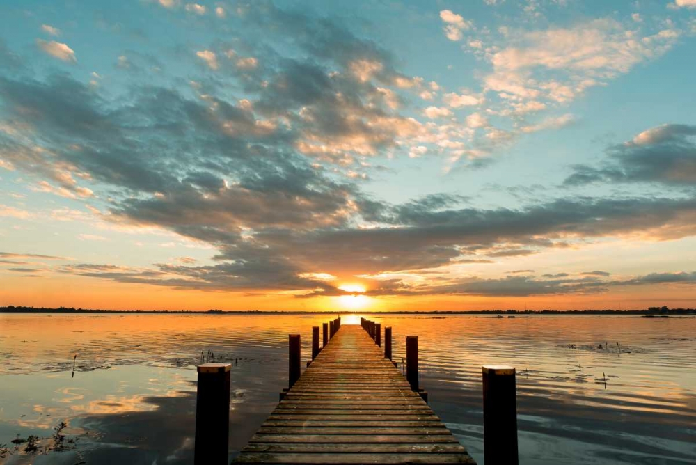 Wall Art Painting id:167338, Name: Morning Lights on a Jetty, Artist: Pangea Images