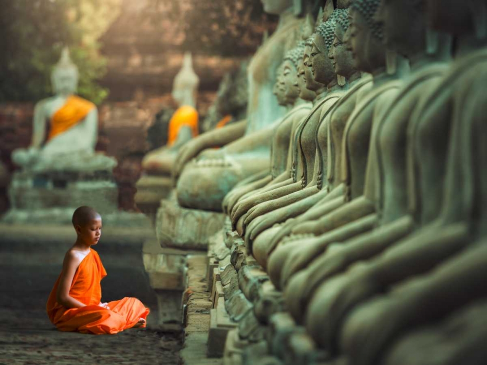 Wall art: Young Buddhist Monk praying, Thailand, by Pangea Images
