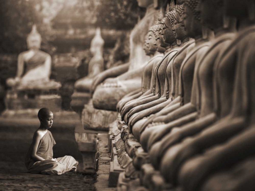 Wall art: Young Buddhist Monk praying, Thailand (sepia), by Pangea Images