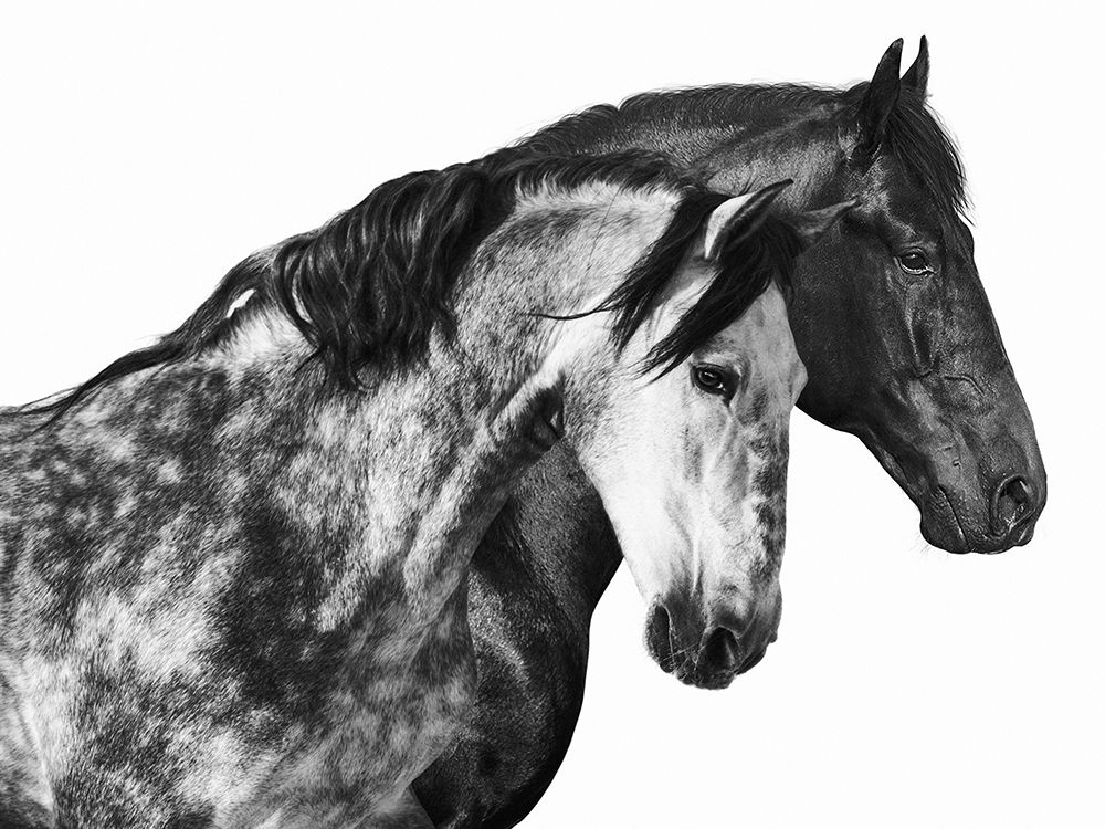 Similar wall art painting: 193560