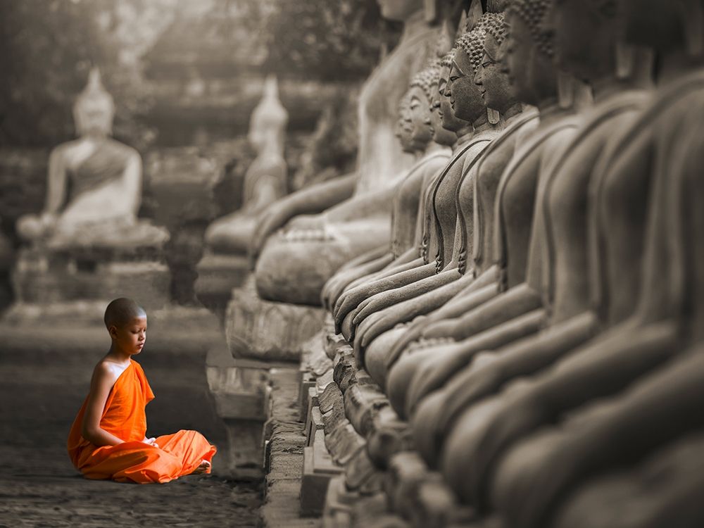 Wall art: Young Buddhist Monk praying, Thailand (BW), by Pangea Images 