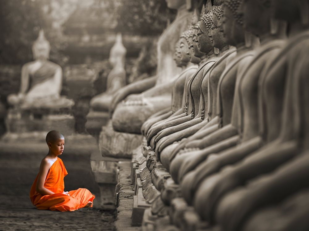 Wall Art Painting id:218511, Name: Young Buddhist Monk praying, Thailand (BW), Artist: Pangea Images 