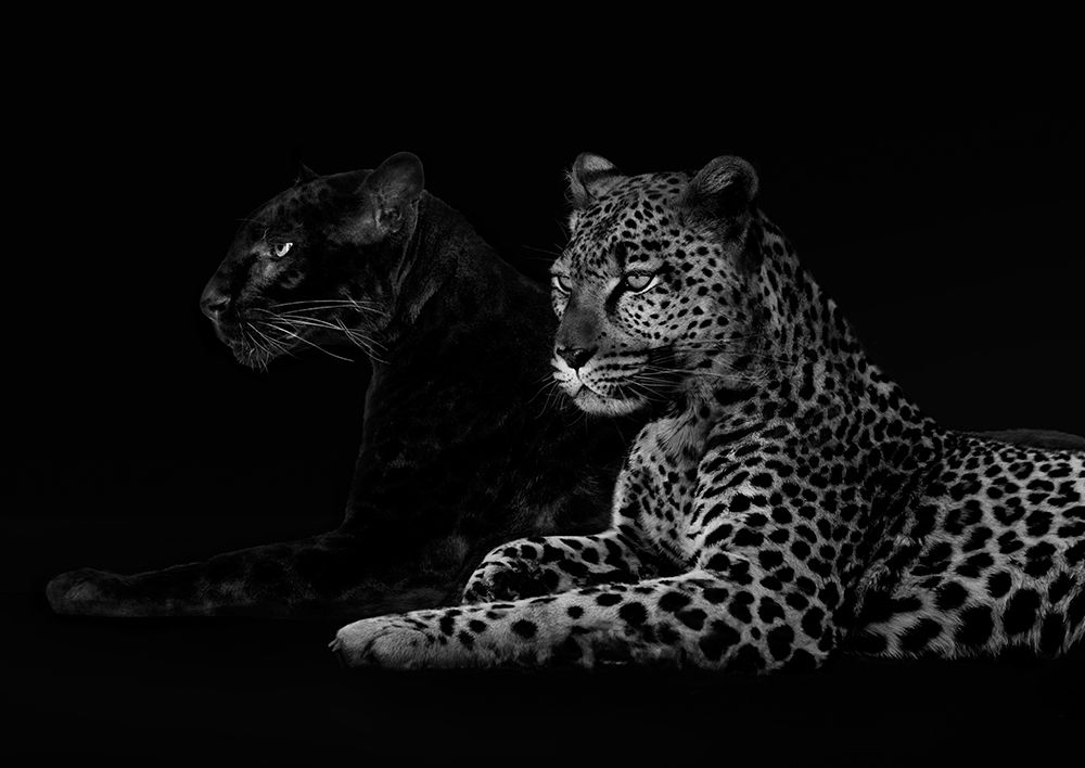 Art Print: Brotherhood (detail)