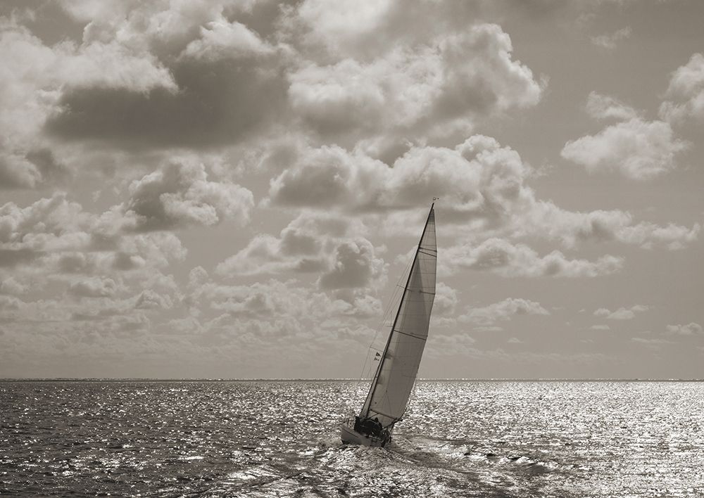 Art Print: Sailing
