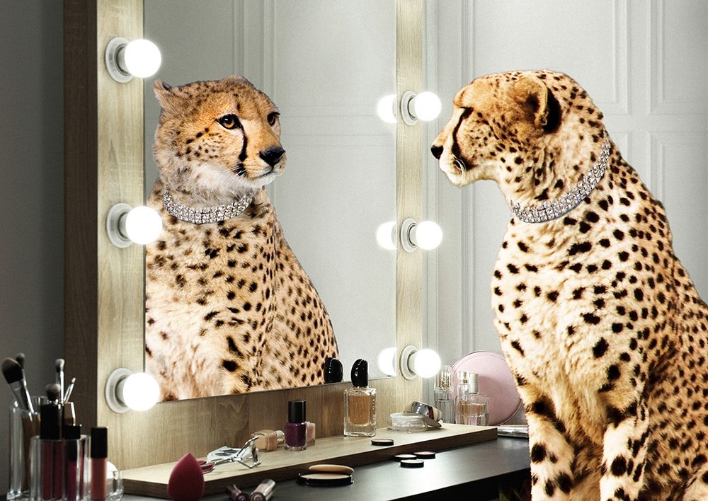 Art Print: Wild Beauty