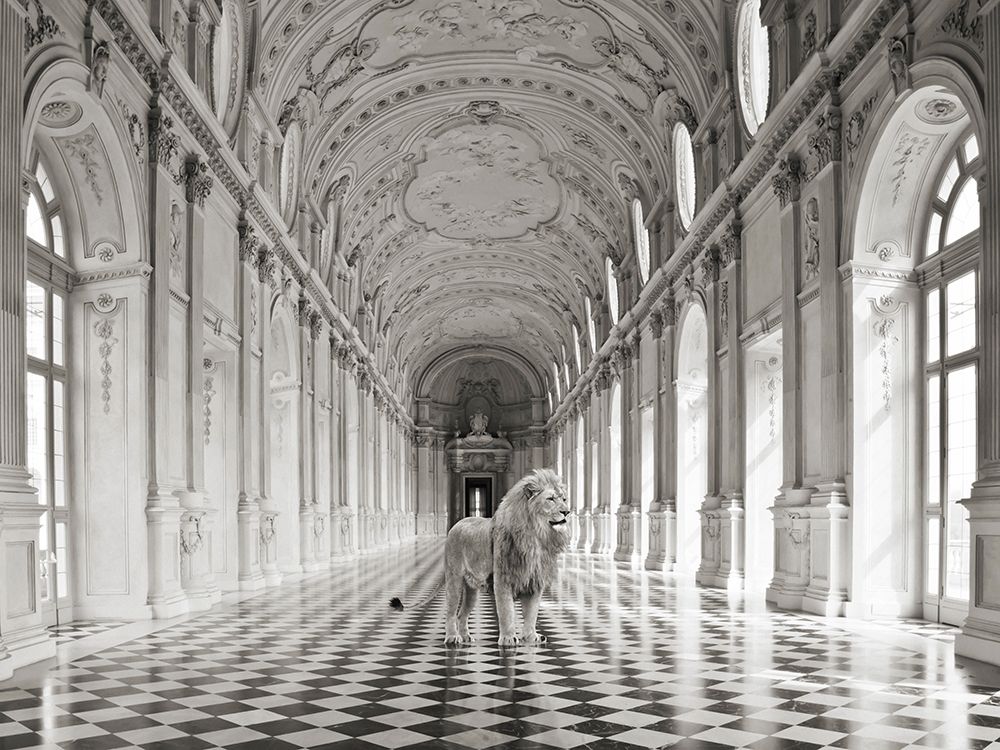 Art Print: Luxurious Wilderness IV