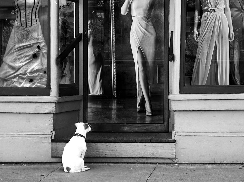 Art Print: Waiting for Her