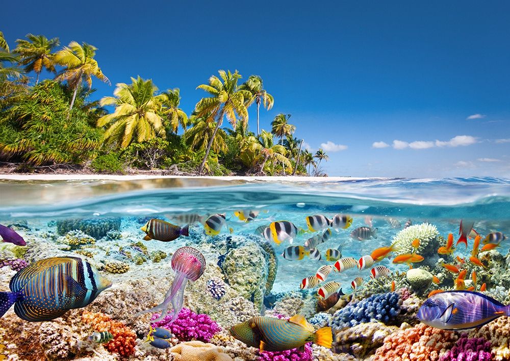 Art Print: Underwater life