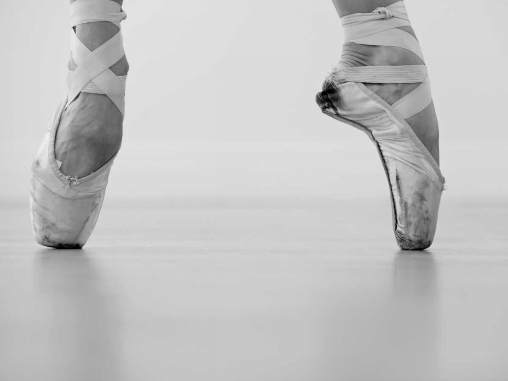 Wall art: A female ballet dancer, by Tetra Studio