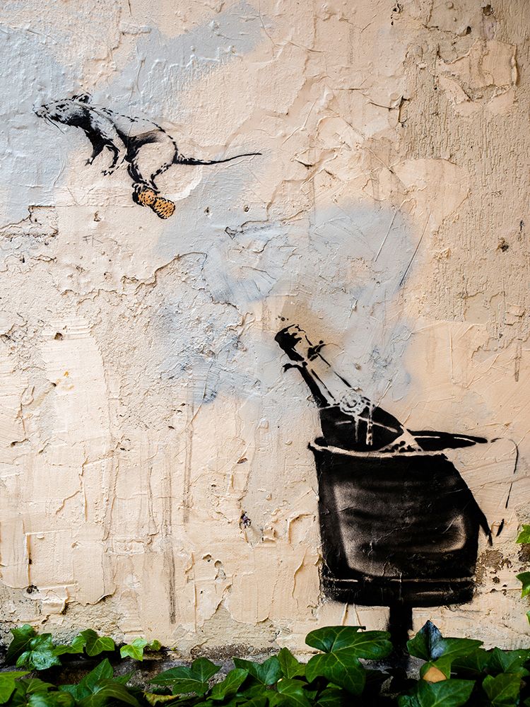 Wall Art Painting id:536983, Name: Rue des Hospitalieres Saint-Gervais, Paris, Artist: Anonymous (attributed to Banksy)