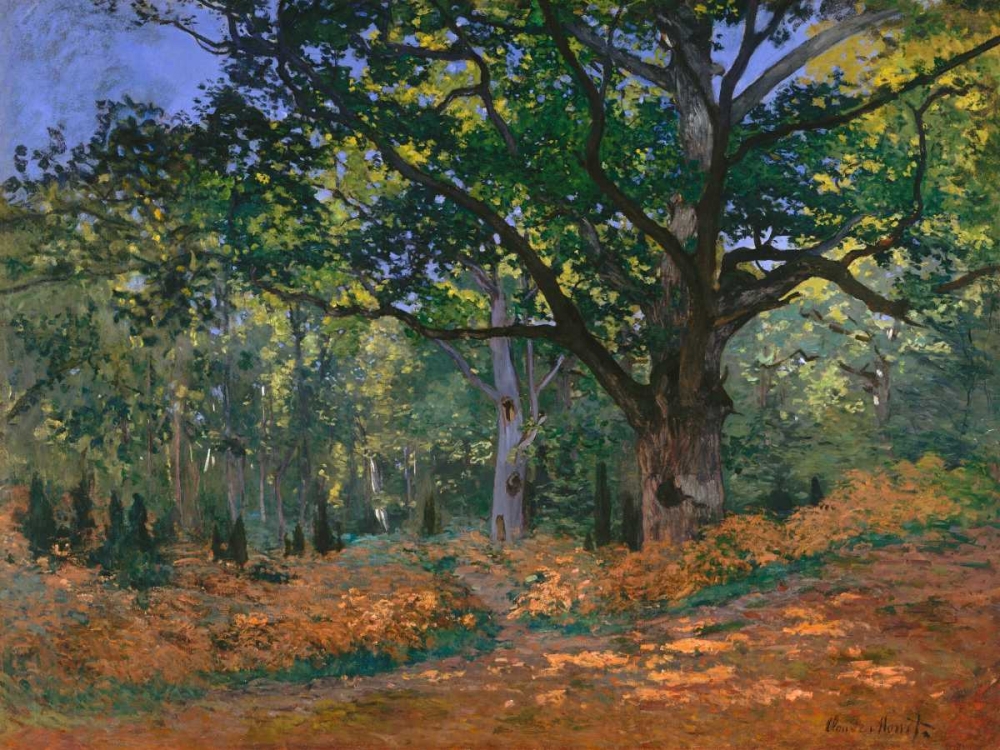 Wall Art Painting id:44181, Name: The Bodmer Oak Fontainebleau Forest, Artist: Monet, Claude