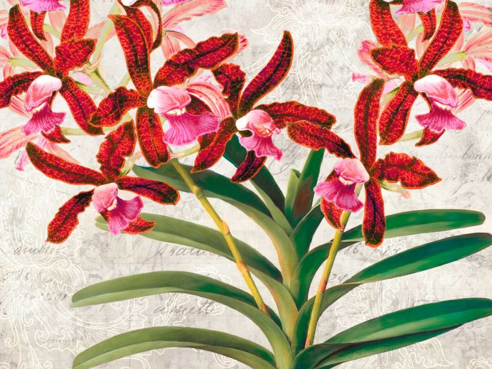 Wall Art Painting id:167281, Name: Botanique Moderne I, Artist: Dellal, Remy