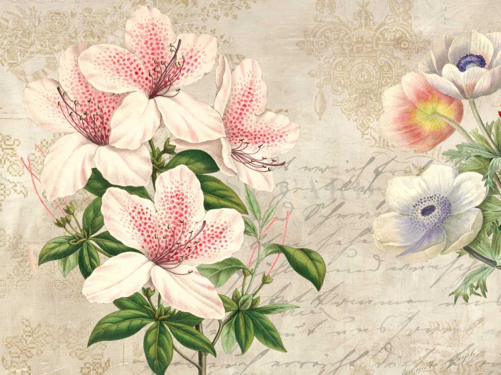 Wall Art Painting id:167282, Name: Botanique Moderne II, Artist: Dellal, Remy