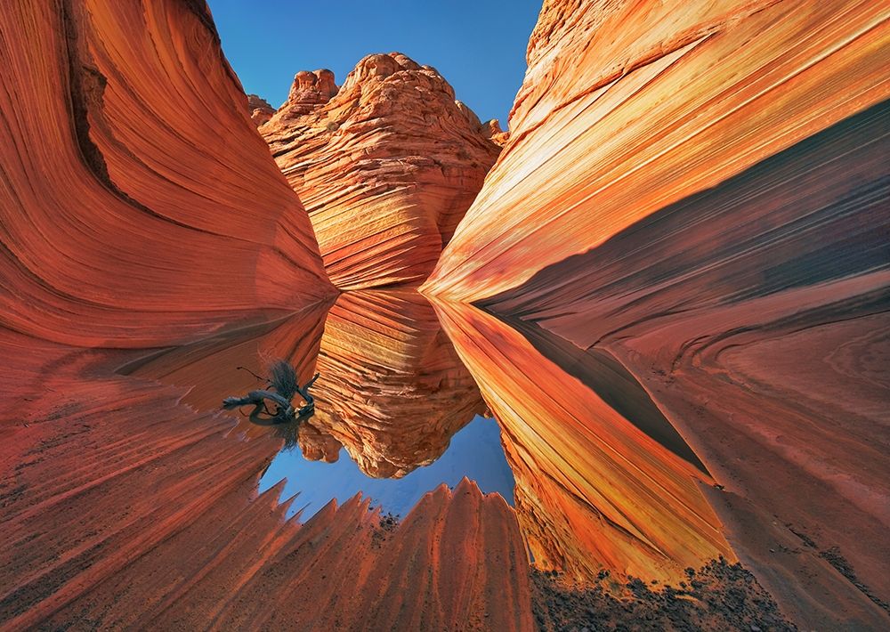 Art Print: The Wave in Vermillion Cliffs, Arizona