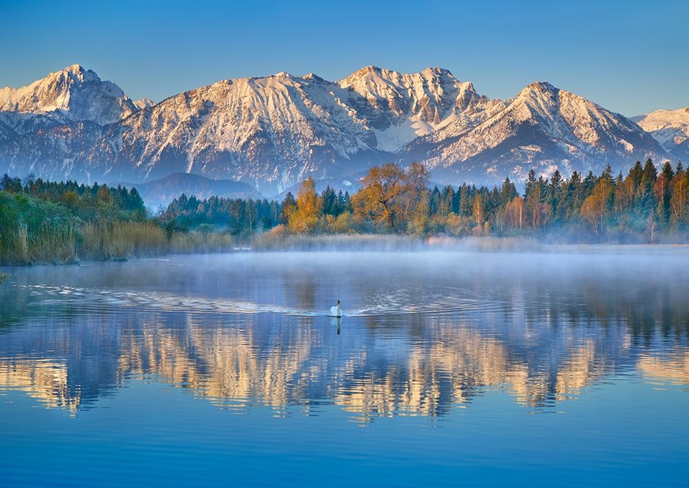 Wall art: Allgaeu Alps and Hopfensee lake, Bavaria, Germany, by Krahmer, Frank