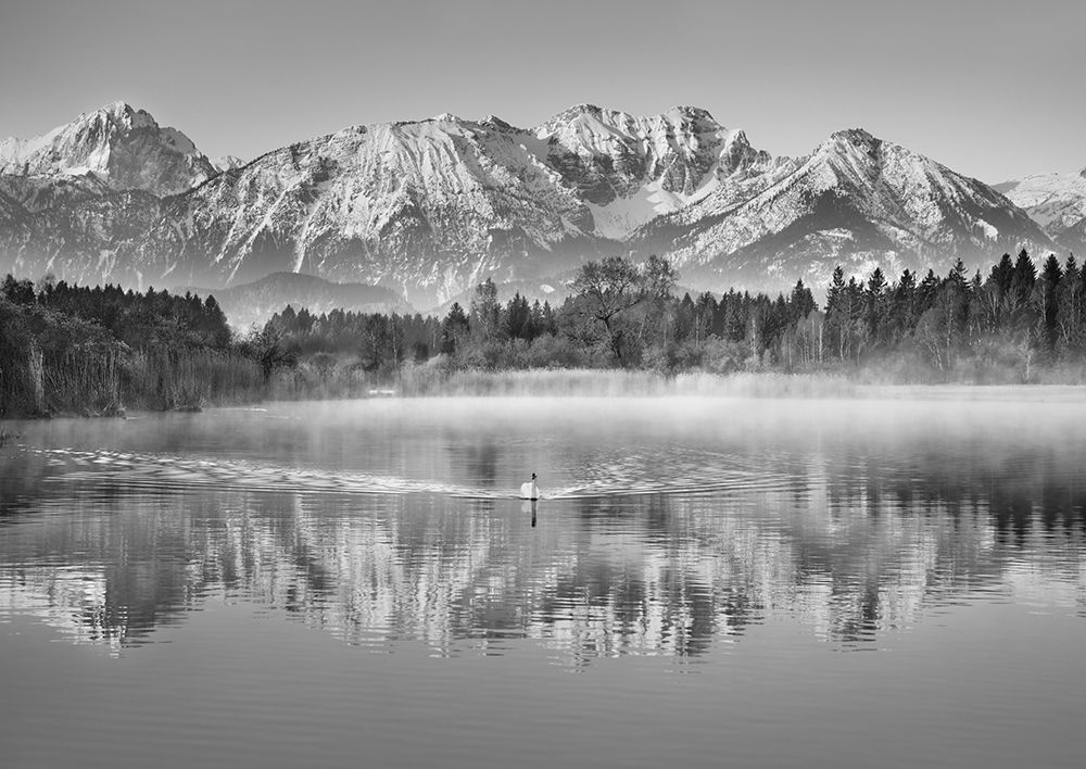 Art Print: Allgaeu Alps and Hopfensee lake, Bavaria, Germany (BW)