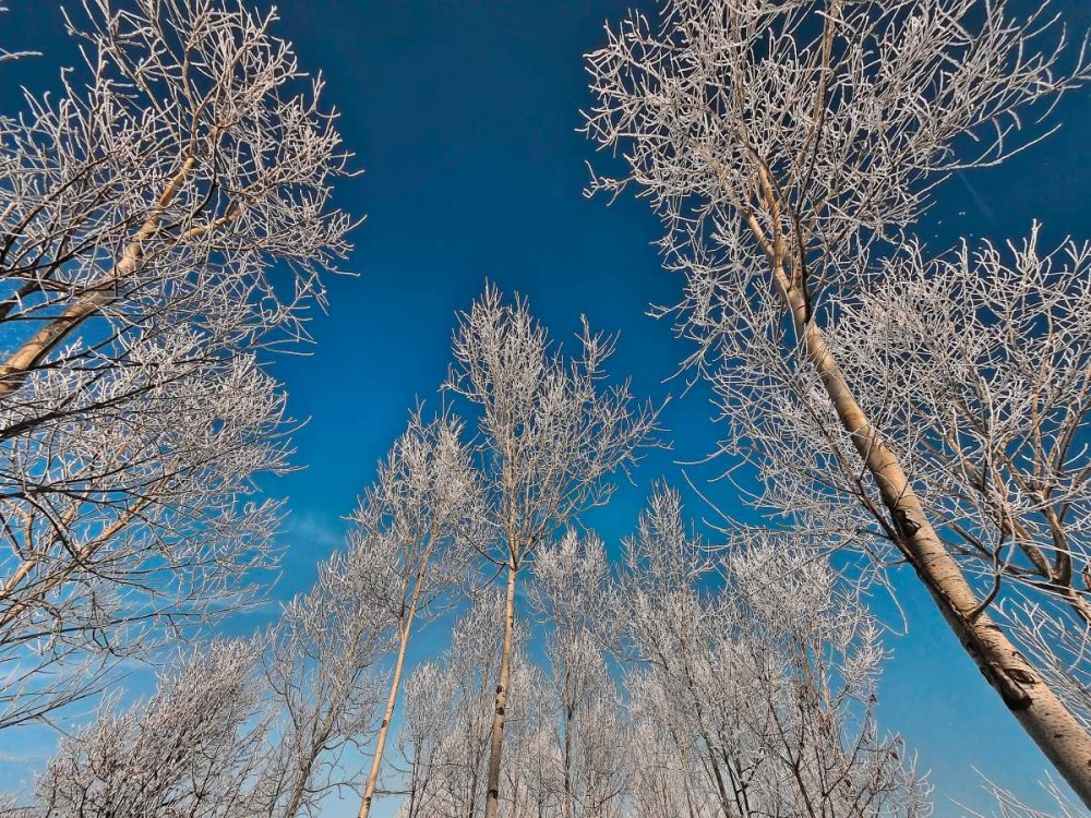 Art Print: Sottozero