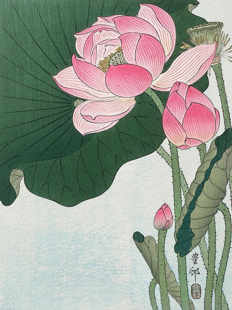 Wall Art Painting id:311983, Name: Blooming lotus flowers, Artist: Koson, Ohara